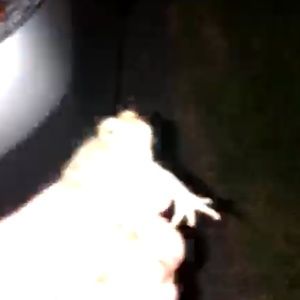 Meet your Posher, Jon